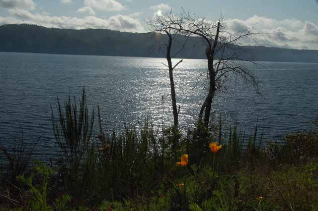 Hood Canal